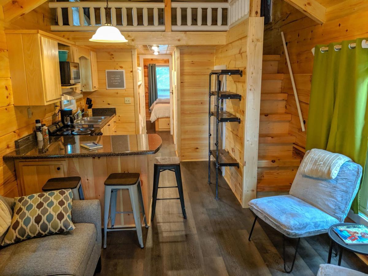 Elise Cabin Forest Retreat 5 Mins To Downtown Чатануга Екстериор снимка