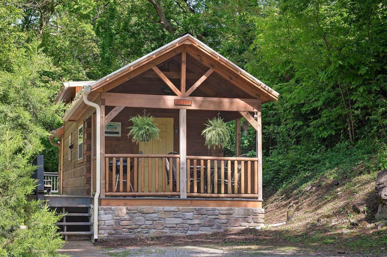 Elise Cabin Forest Retreat 5 Mins To Downtown Чатануга Екстериор снимка