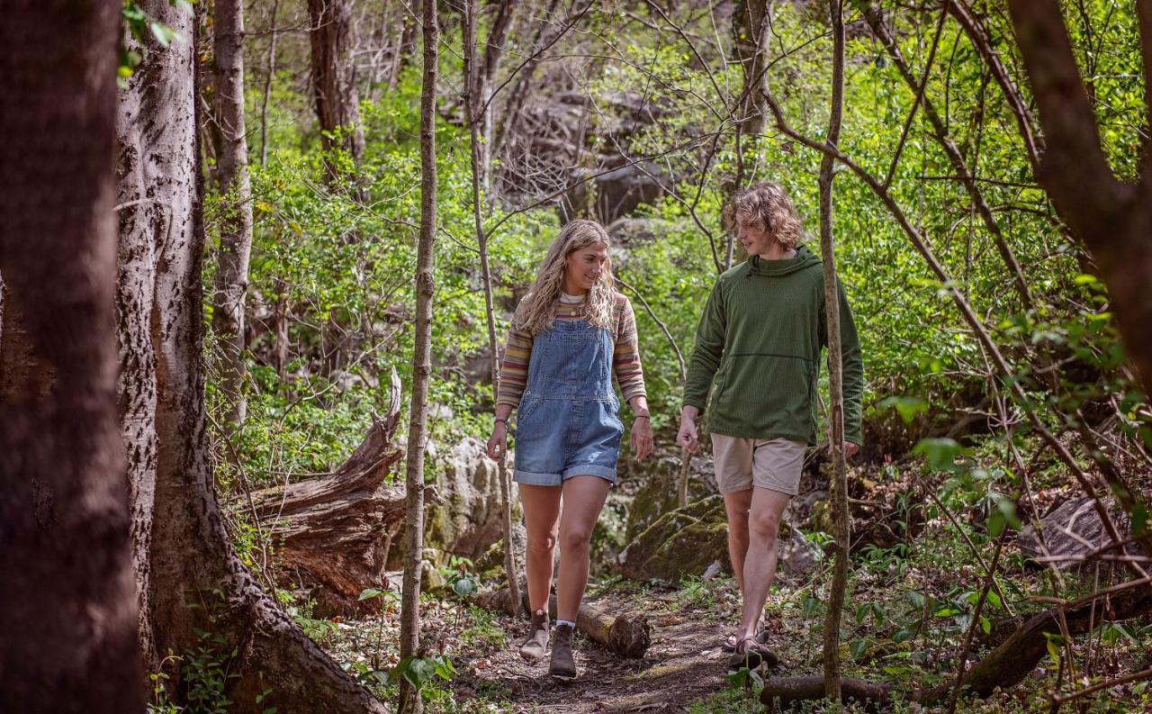 Elise Cabin Forest Retreat 5 Mins To Downtown Чатануга Екстериор снимка